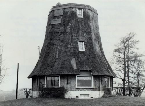 Foto's voor 1982-19