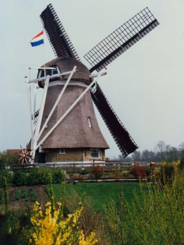 Foto's voor 1982-37